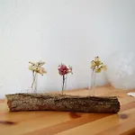Apartamento Deine *